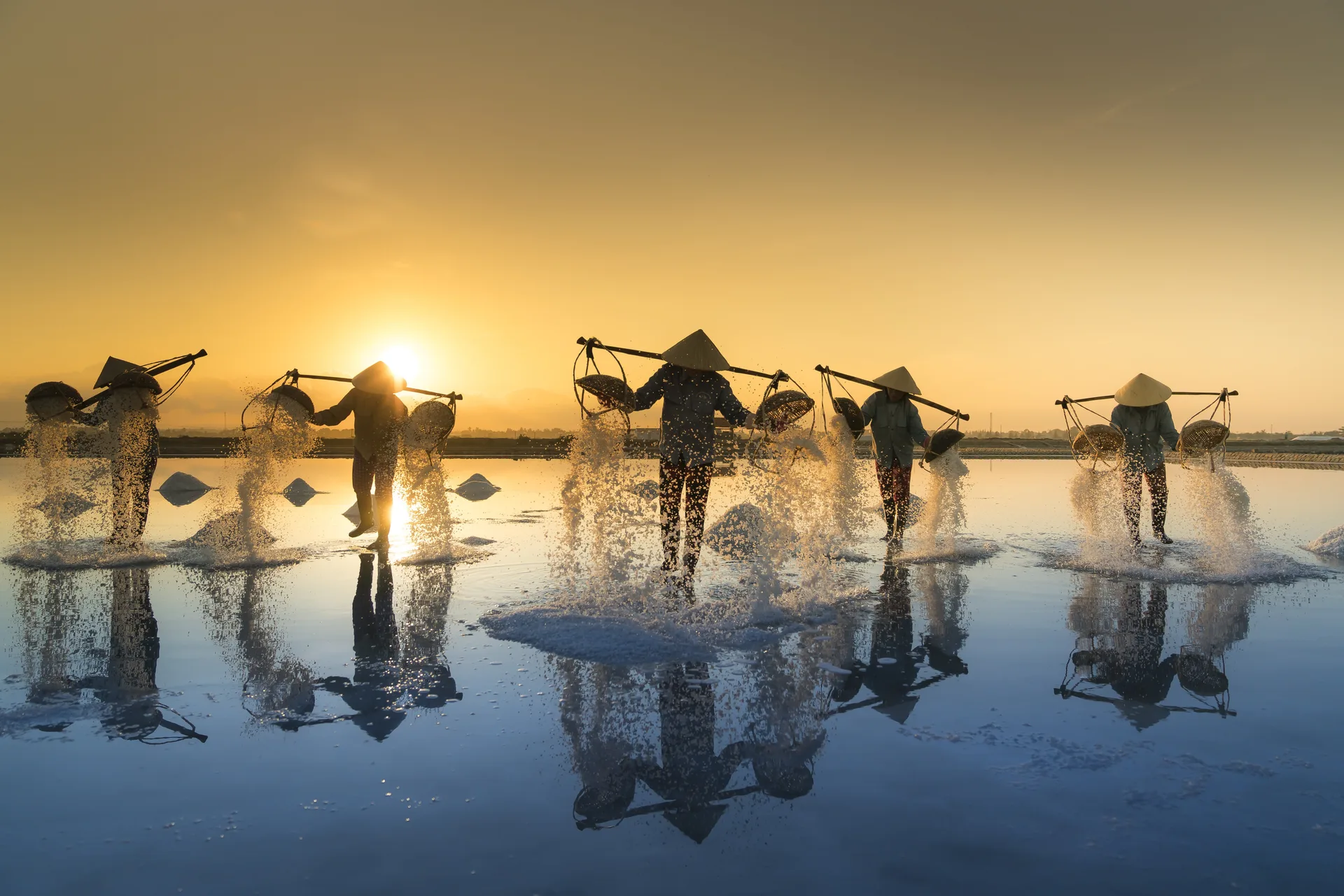 Đội Ngũ Chuyên Gia
