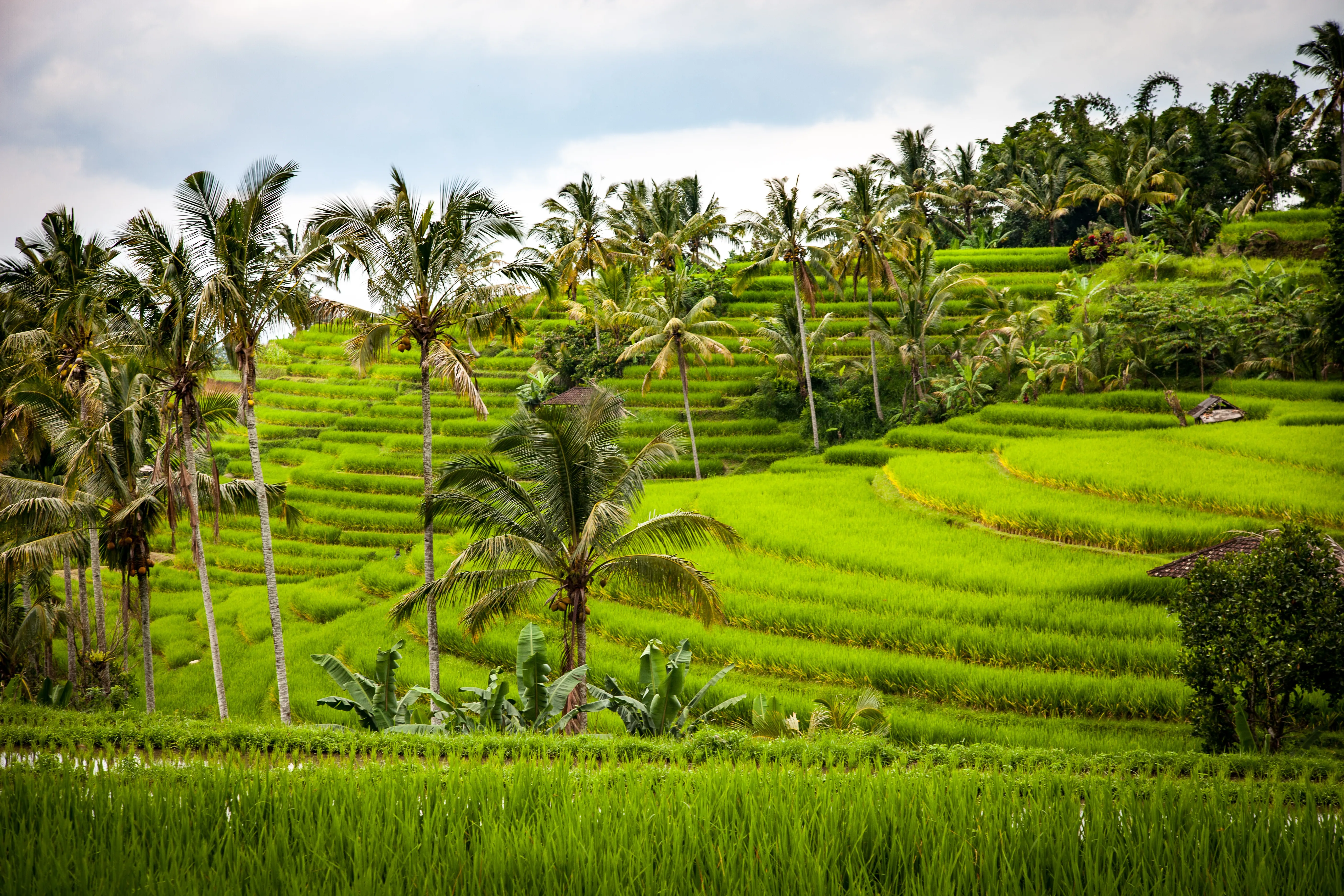 Soát Xét Thuế